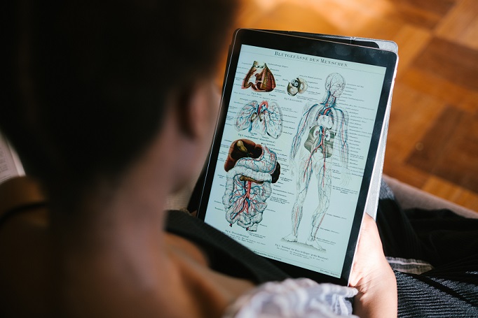 ANATOMIA Y FISIOLOGIA HUMANA DEL SISTEMA MUSCULOESQUELETICO Y NERVIOSO (120 horas) (Tenerife)